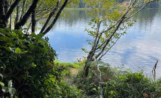 Siobhan B.'s photo of camping with pets at Eckman Lake Private Paradise near Toledo, OR