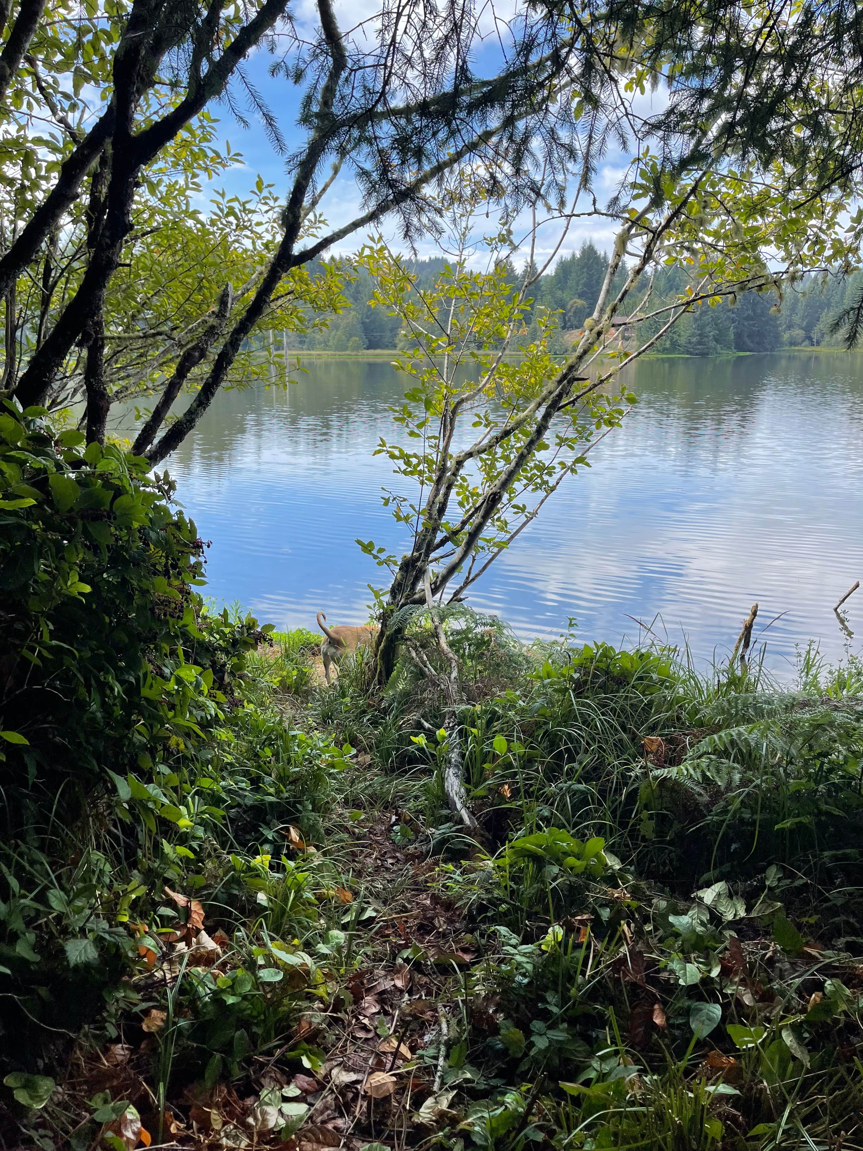 Camper-submitted photo at Eckman Lake Private Paradise near Newport, OR