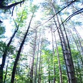 Review photo of Catskill/Kenneth L Wilson Campground by Kristen B., September 13, 2016