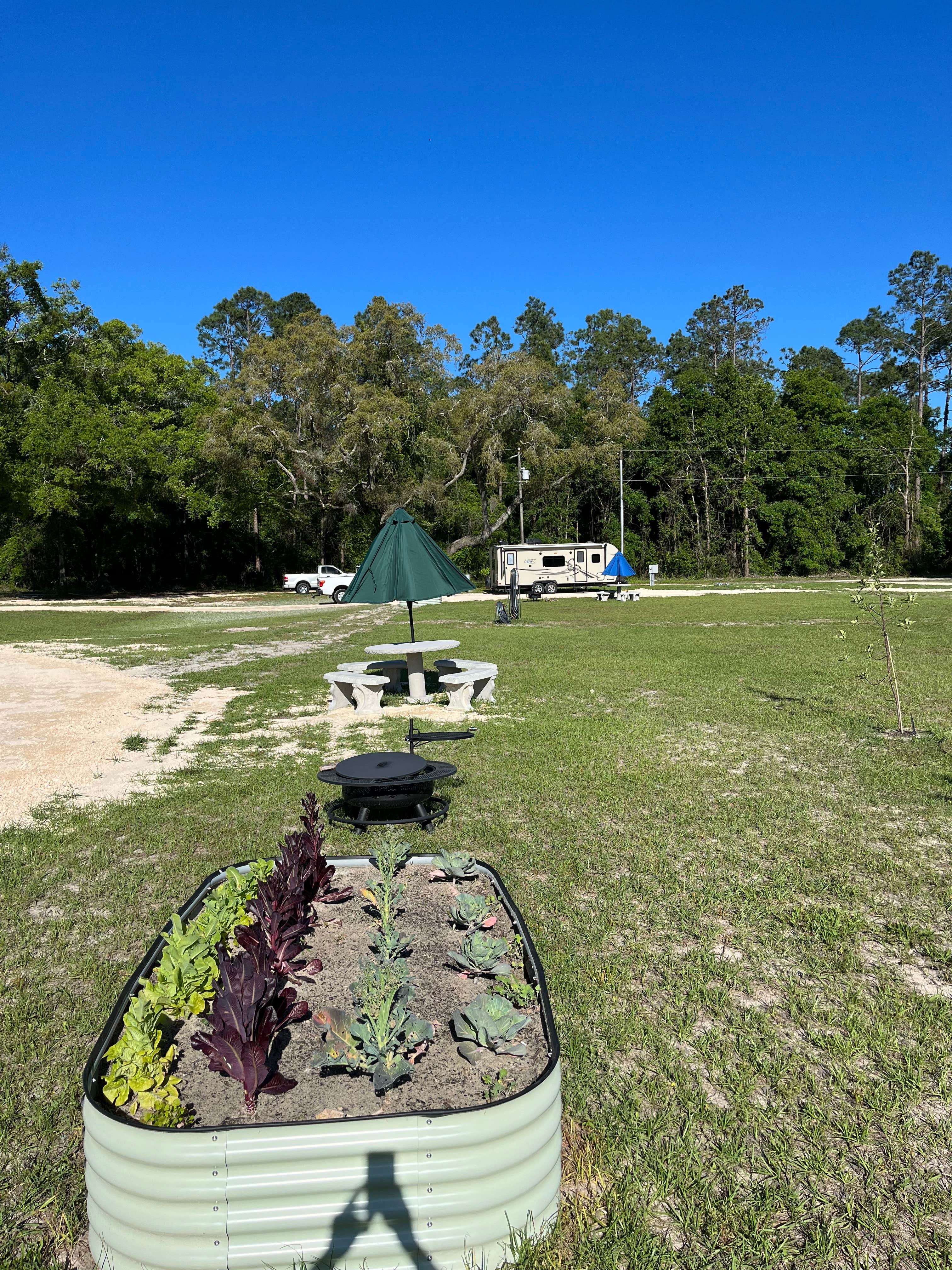 Tracey B.'s photo at In the Garden RV Park near O'brien, FL