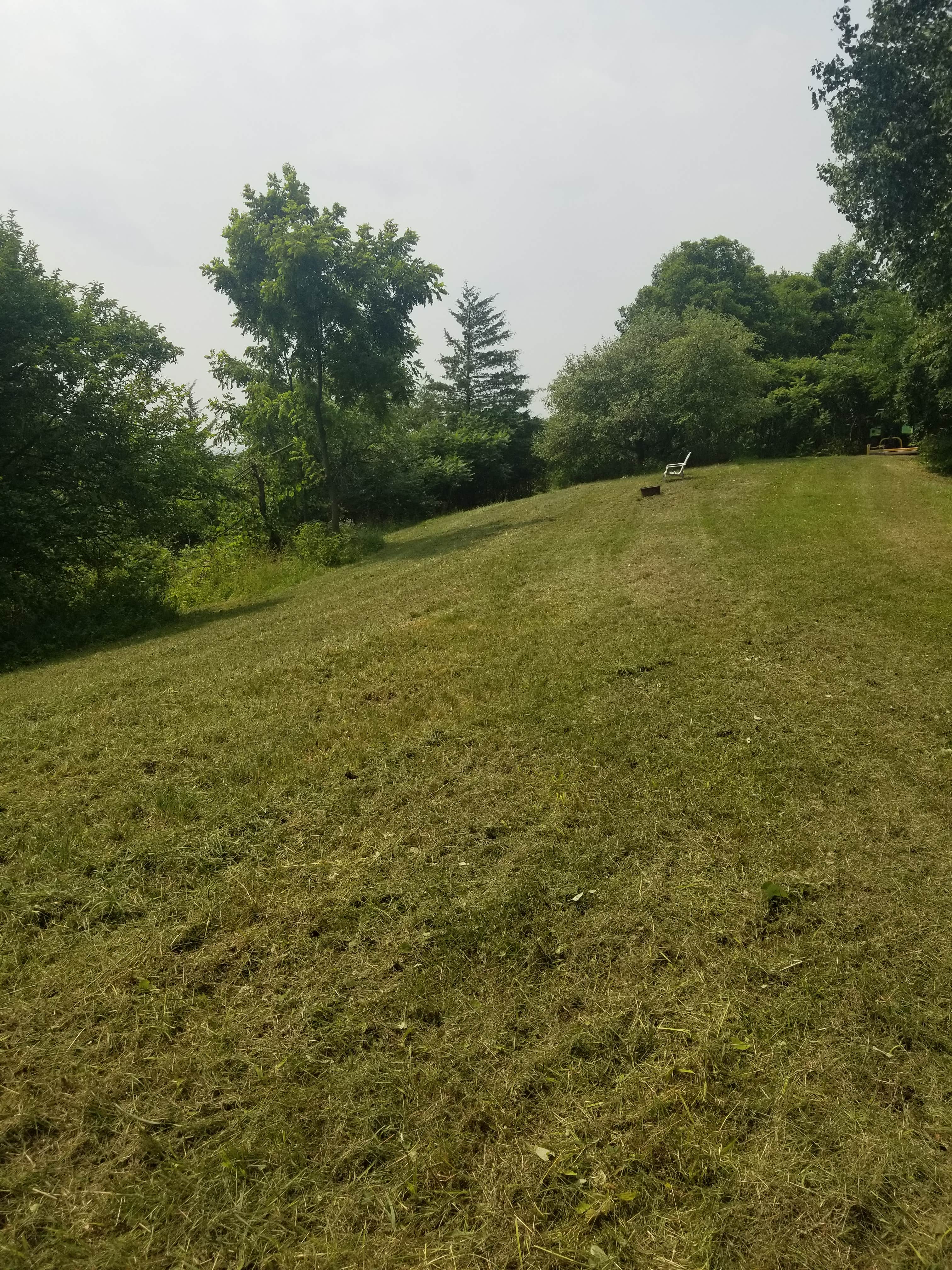 Camper-submitted photo at Blueberry Fields Forever near La Crosse, WI