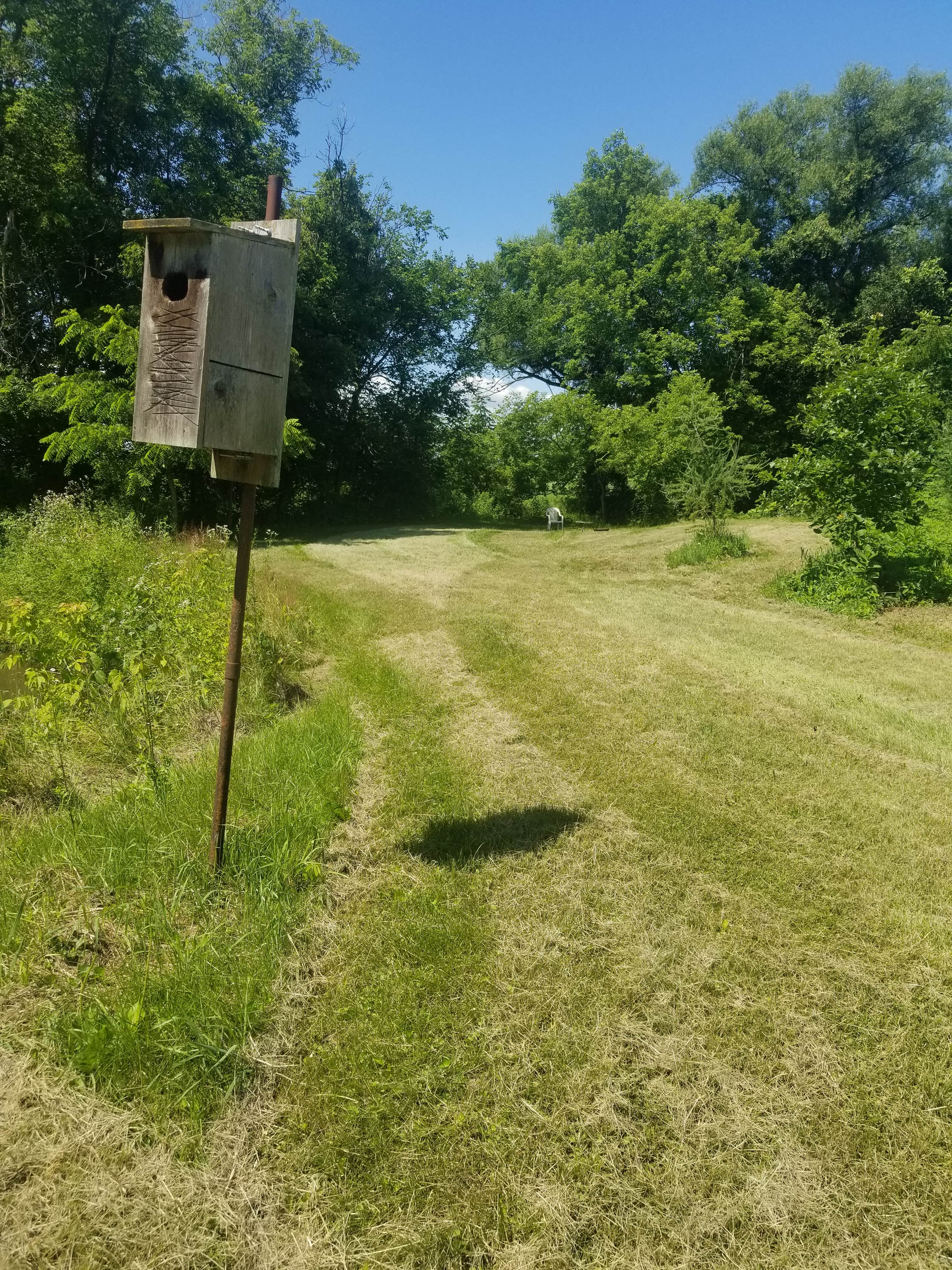 Camper-submitted photo at Blueberry Fields Forever near La Crosse, WI