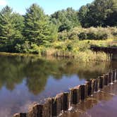 Review photo of Catskill/Kenneth L Wilson Campground by Kristen B., September 13, 2016