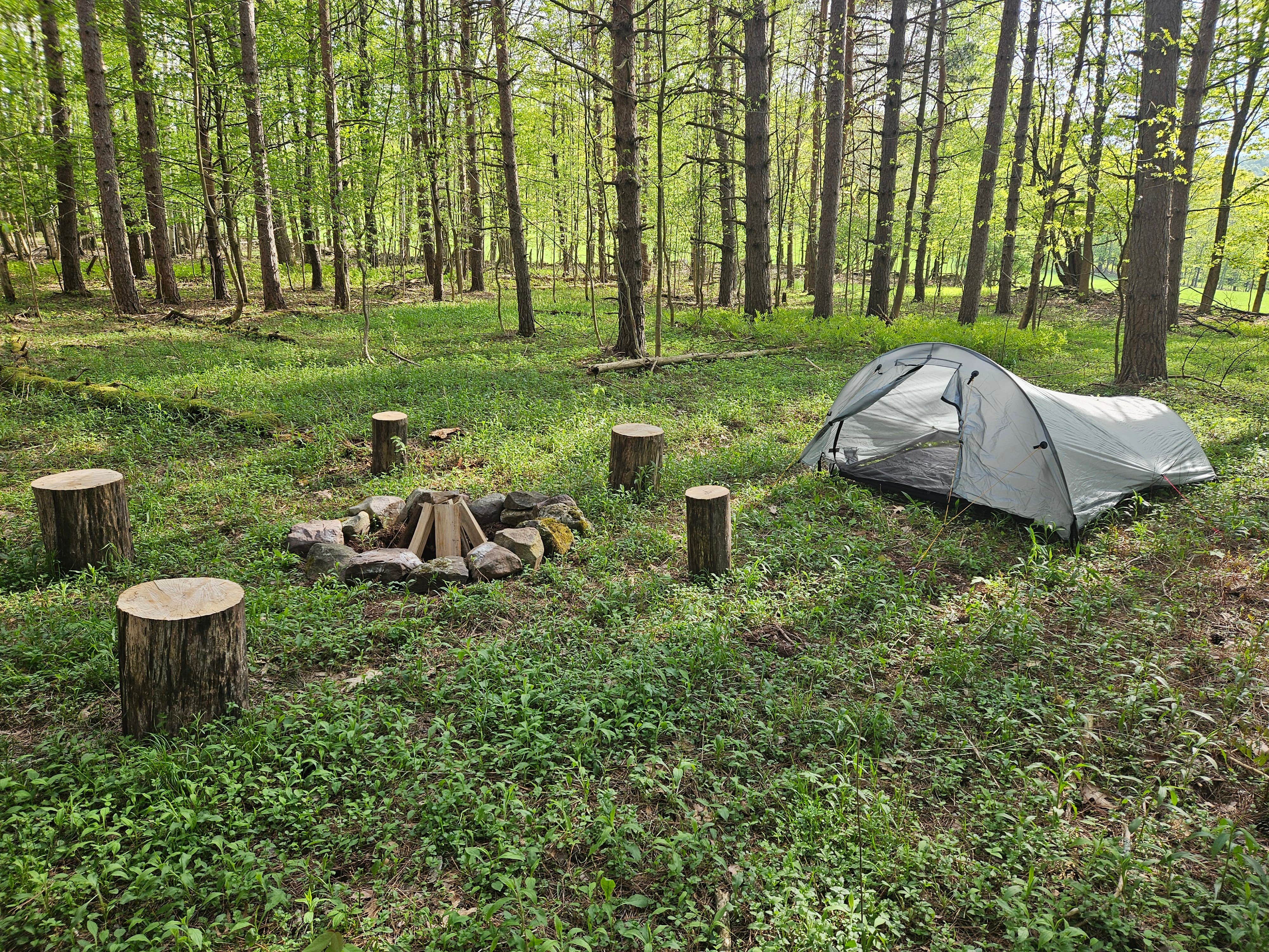 Todd H.'s photo at Brook Hollow Homestead - Camping in a Catskills Forest near Colliersville, NY