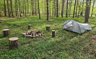 Todd H.'s photo at Brook Hollow Homestead - Camping in a Catskills Forest near Delhi, NY