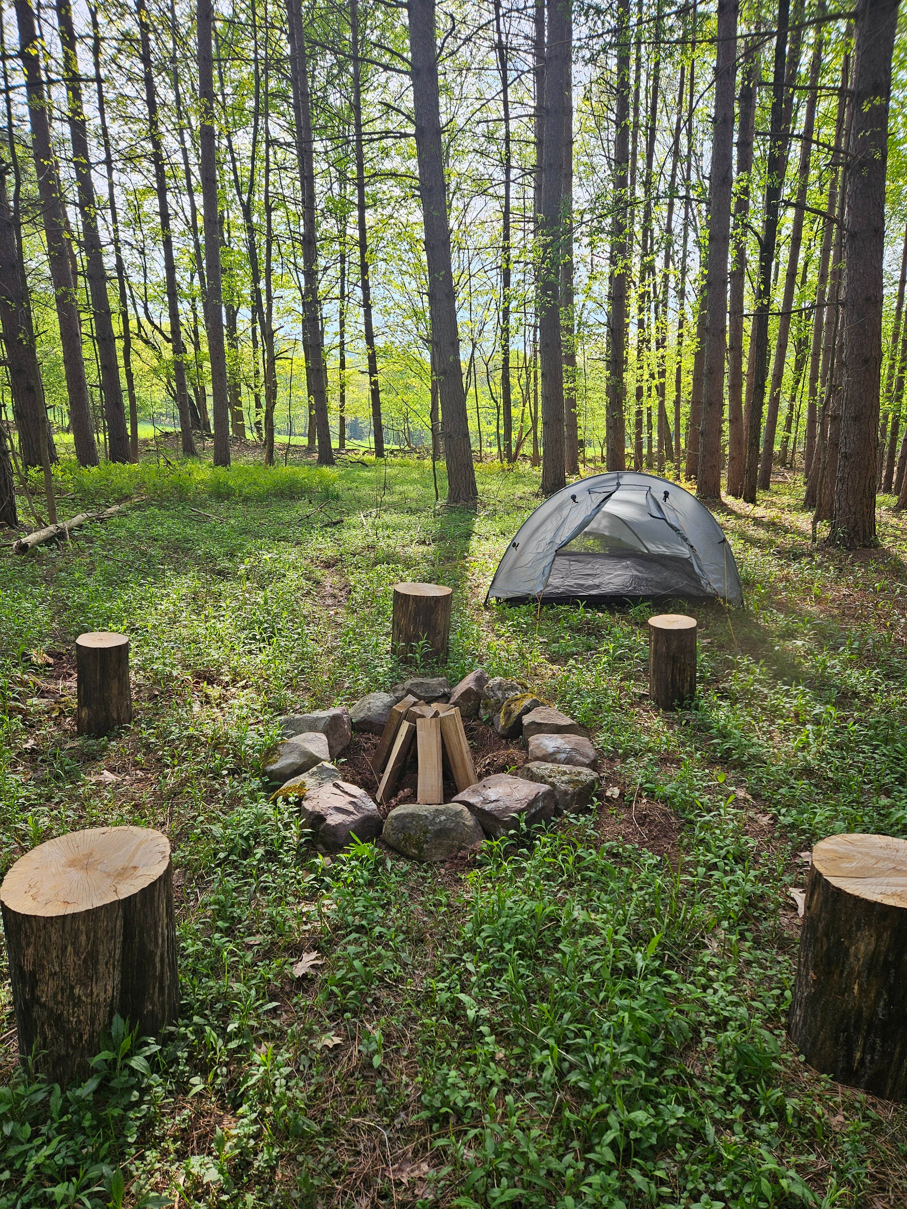 Camping near Artisan Hill Farm & Studio: Brook Hollow Homestead - Camping in a Catskills Forest, Colliersville, New York
