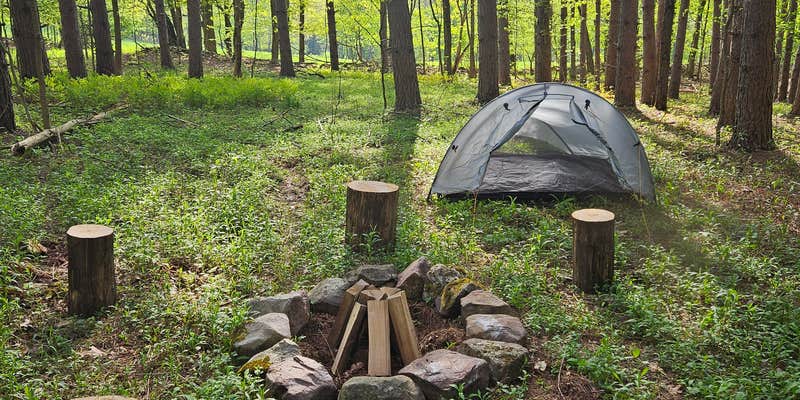 Camper submitted image from Brook Hollow Homestead - Camping in a Catskills Forest