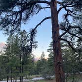 Review photo of Lakeview Campground by Kylee K., May 15, 2024