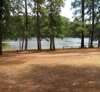 Camper-submitted photo from Ratcliff Lake Recreation Area