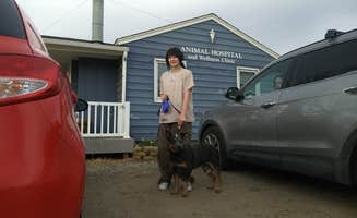 keith H.'s photo of camping with pets at Caballo Loco Ranch and RV Park near Arivaca, AZ