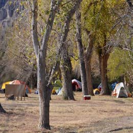 Public Campgrounds: Rio Grande Village Group Campground — Big Bend National Park