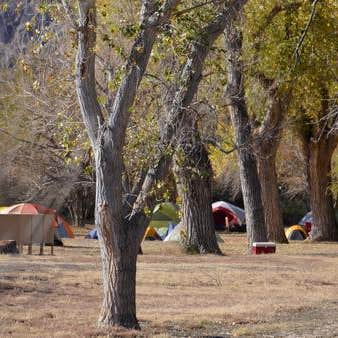 Rio Grande Village Group Campground — Big Bend National Park