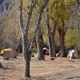 Rio Grande Village Group Campground — Big Bend National Park