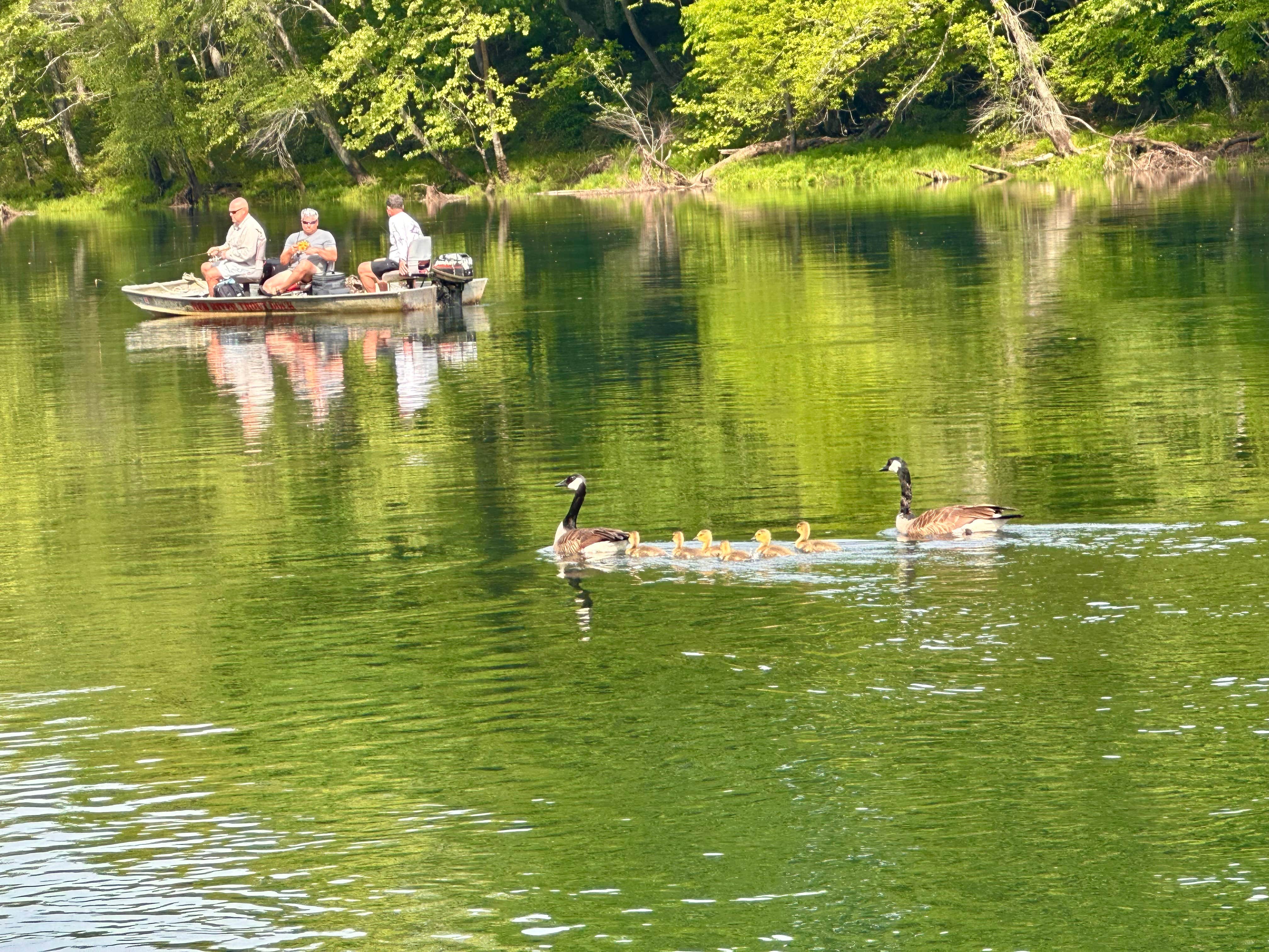 Camper submitted image from Red River Trout Dock RV Resort - 2