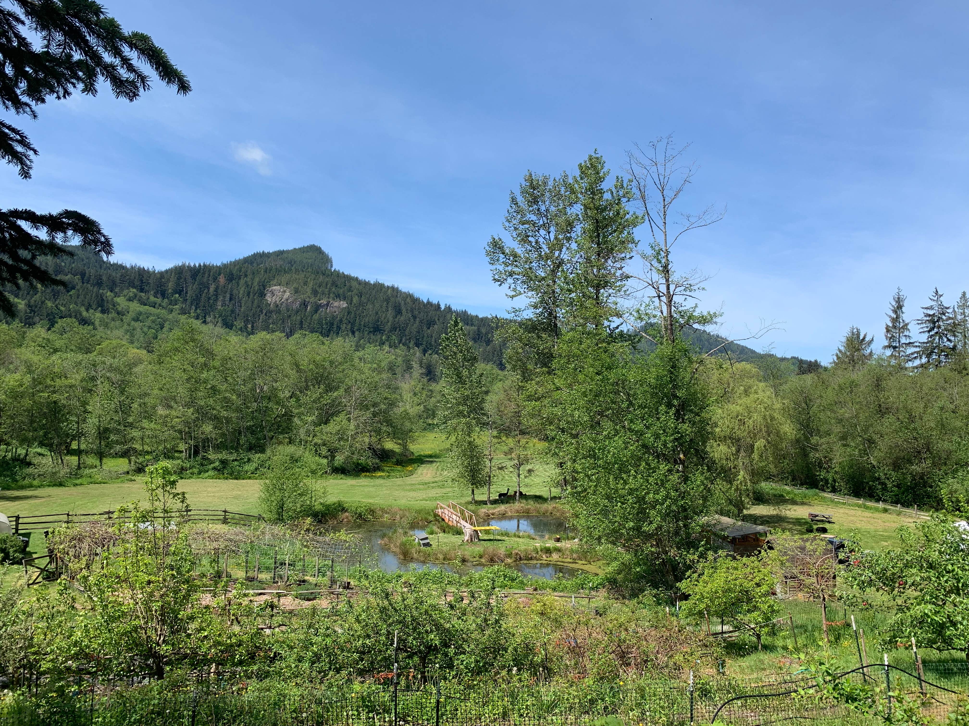 Camper-submitted photo at Lazy H Farm and Gardens near Arlington, WA