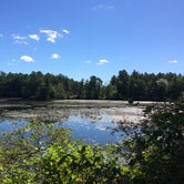 Review photo of Charge Pond Campground — Myles Standish State Forest by Kristen B., September 13, 2016