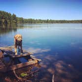 Review photo of Barretts Pond Campground — Myles Standish State Forest by Kristen B., September 13, 2016