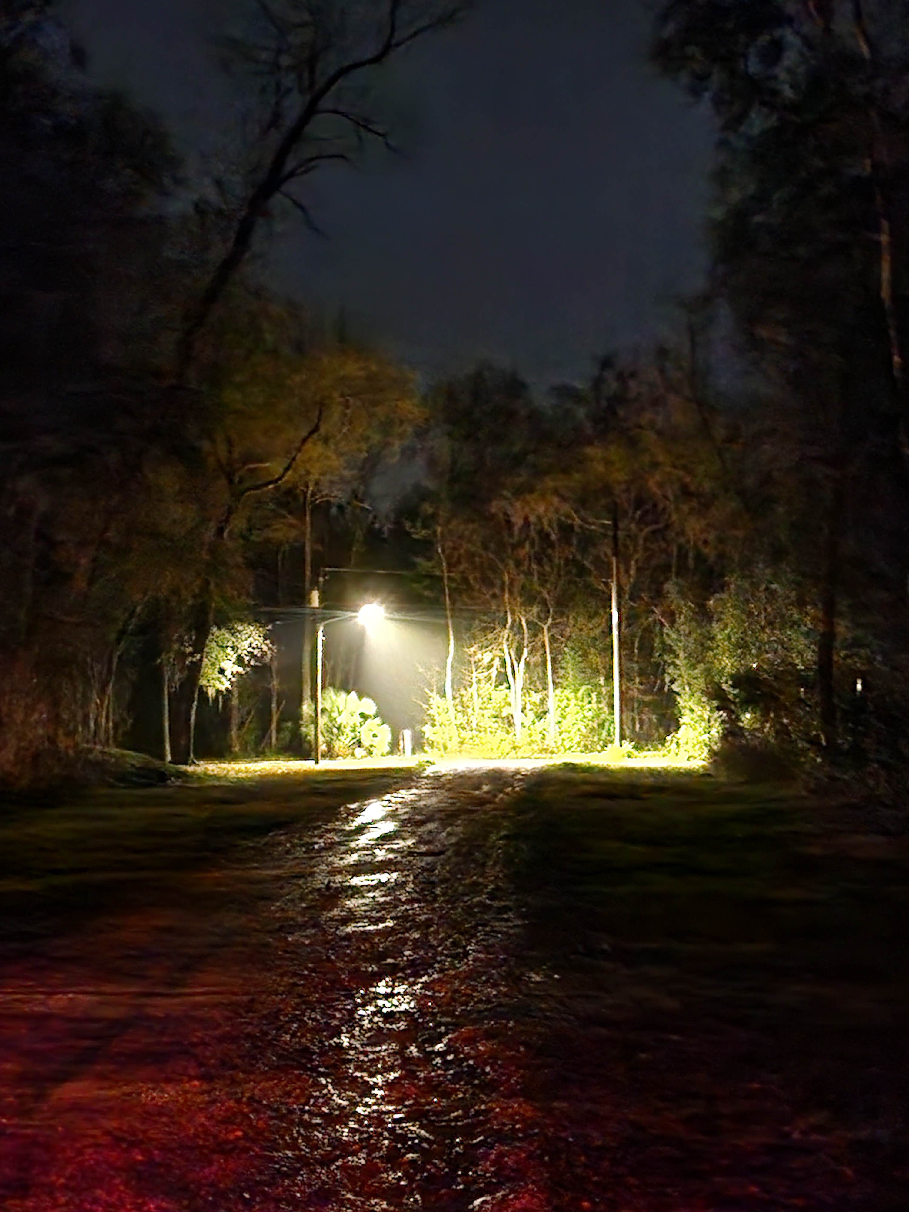 Camper submitted image from Cypress Valley Farm - 2