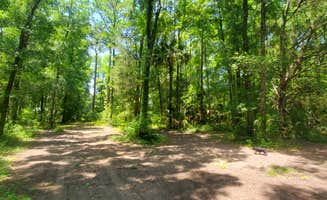 Cypress Valley F.'s photo of camping with pets at Cypress Valley Farm near Micanopy, FL