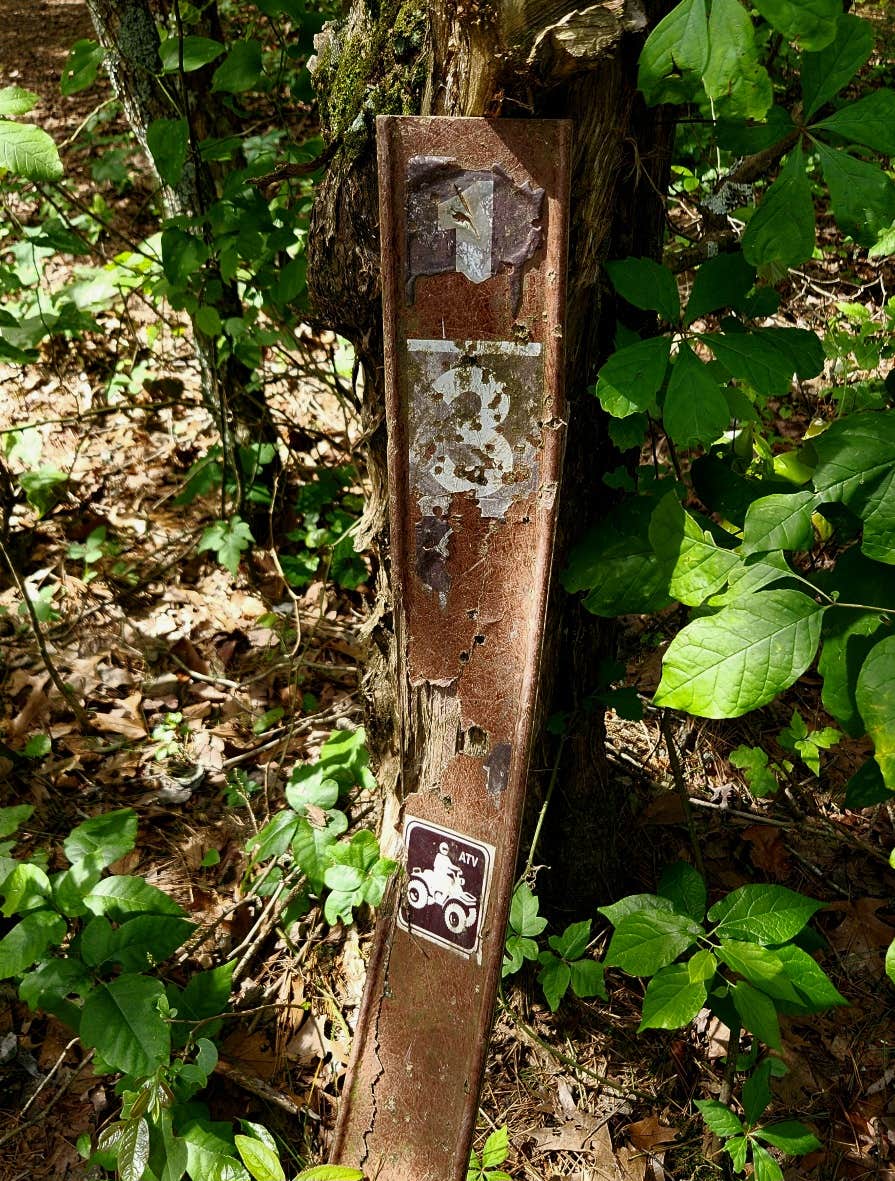 Camper-submitted photo at Adams Mountain Rd Dispersed Campsite near Buffalo National River