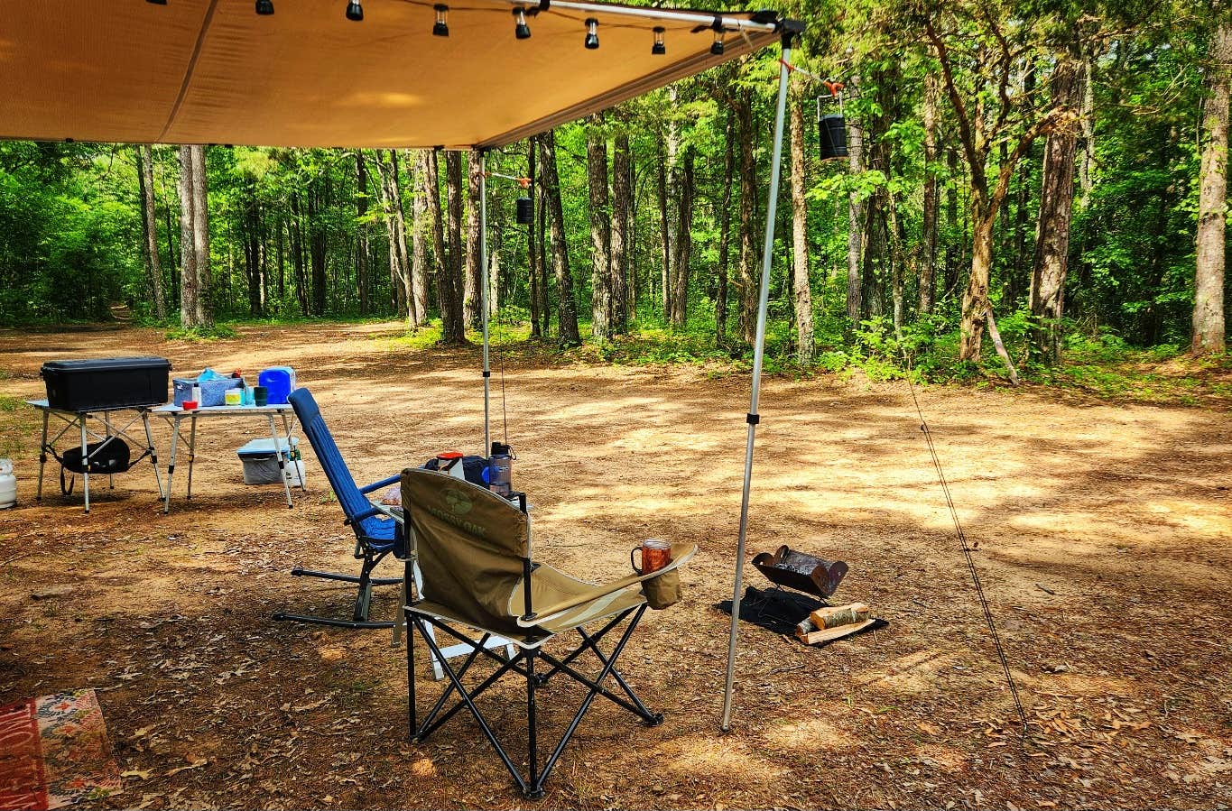Fred S.'s photo of a dispersed camping area at Adams Mountain Rd Dispersed Campsite near Buffalo National River