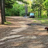 Review photo of Adams Mountain Rd Dispersed Campsite by Fred S., May 17, 2024