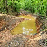 Review photo of Adams Mountain Rd Dispersed Campsite by Fred S., May 17, 2024