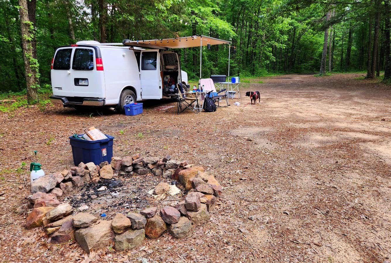 Camper submitted image from Adams Mountain Rd Dispersed Campsite - 4