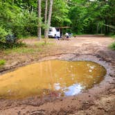 Review photo of Adams Mountain Rd Dispersed Campsite by Fred S., May 17, 2024