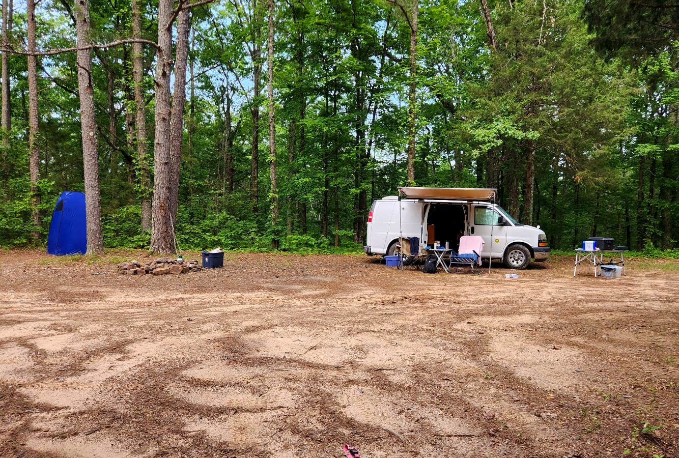 Camper-submitted photo at Adams Mountain Rd Dispersed Campsite near Buffalo National River