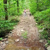 Review photo of Adams Mountain Rd Dispersed Campsite by Fred S., May 17, 2024