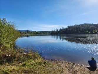 Snake P.'s photo of a dispersed camping area at Bull Run Access Dispersed near Rockford, WA