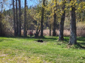 Bull Run Access Dispersed