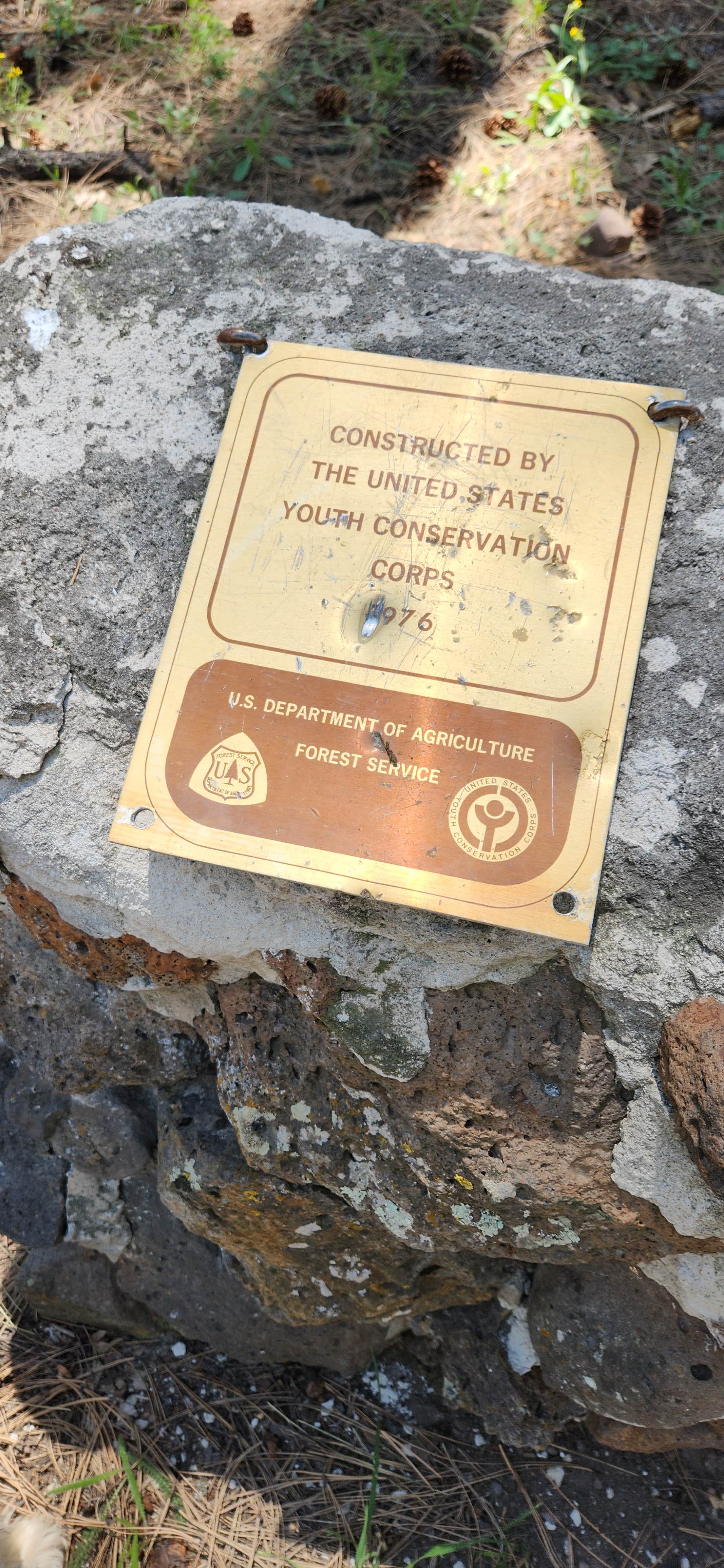 Camping near Bill Evans Lake: Pine Flats Campground, Hanover, New Mexico