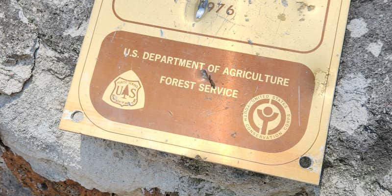 Camper submitted image from Pine Flats Campground