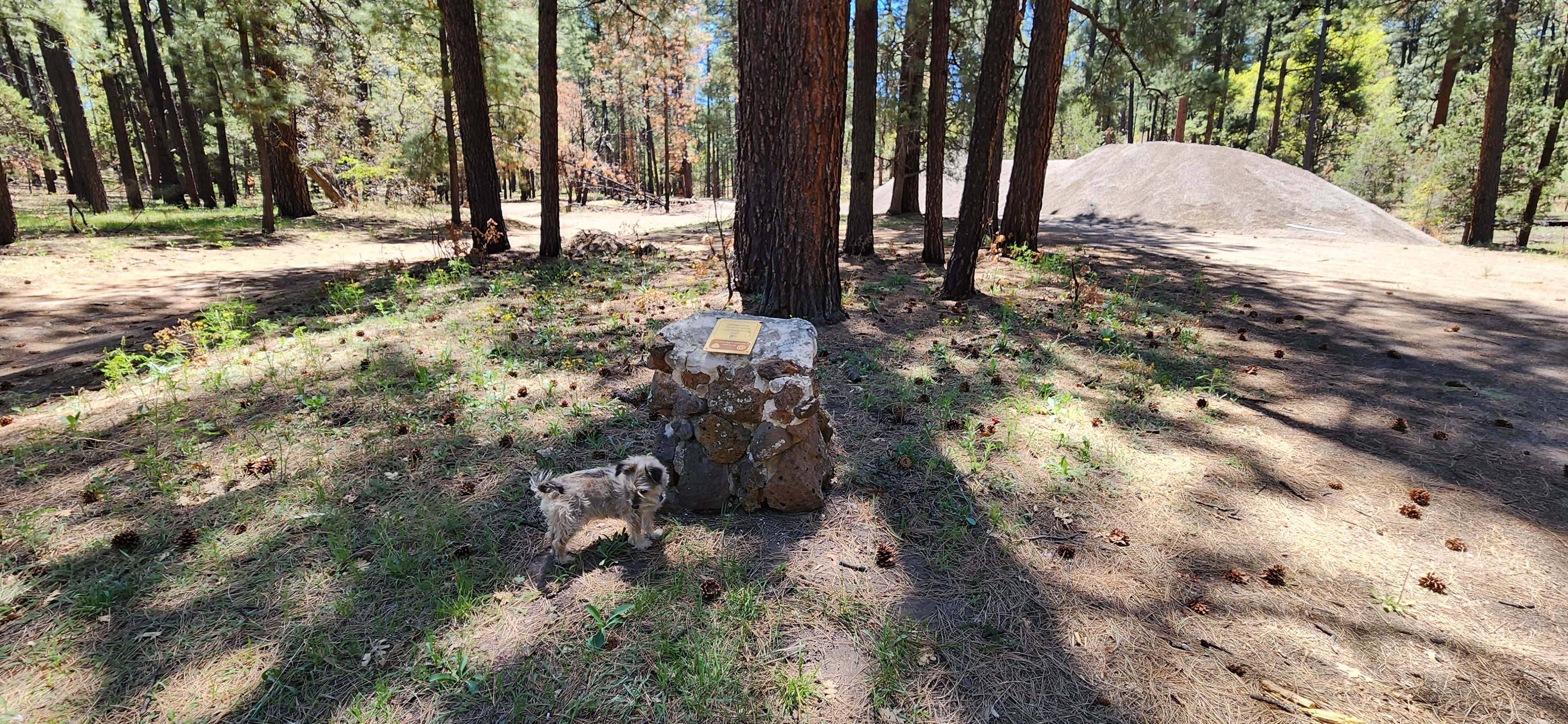 Camper submitted image from Pine Flats Campground - 2