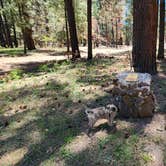 Review photo of Pine Flats Campground by Bill , May 17, 2024