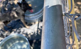 Misty B.'s photo of camping with pets at Ranch Bueno near Death Valley National Park