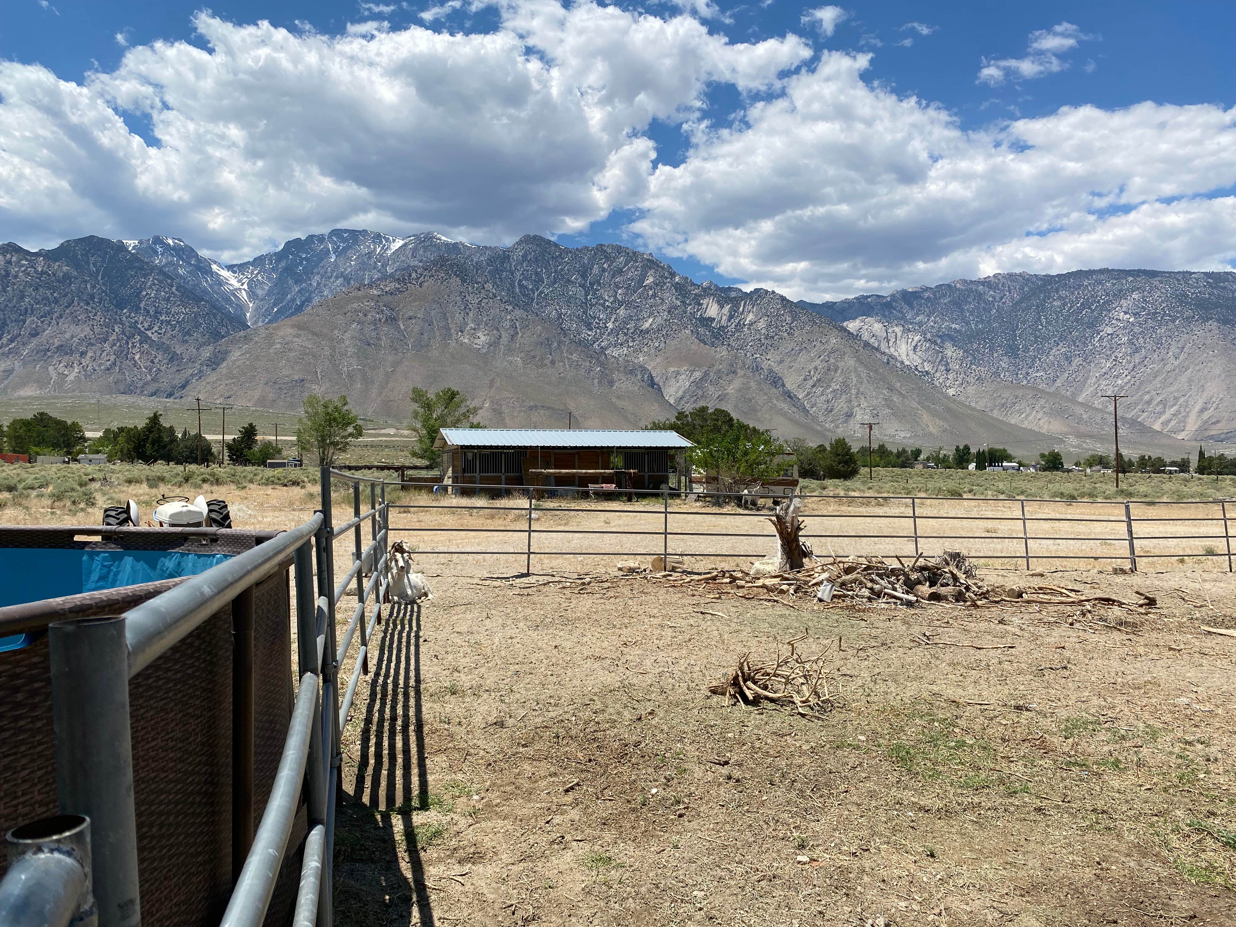 Camper submitted image from Ranch Bueno - 1