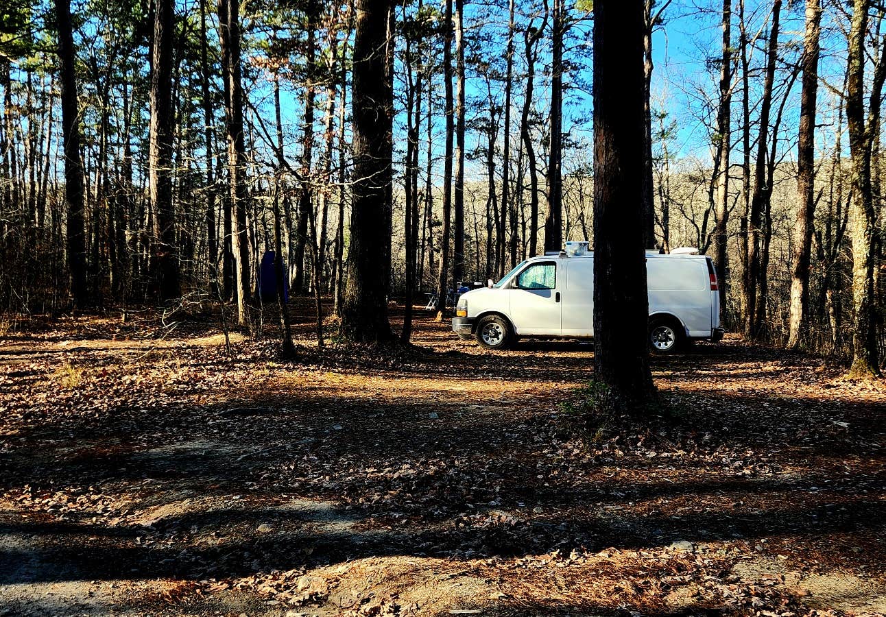 Camper submitted image from Ouachitas FR179 Dispersed Site - 4