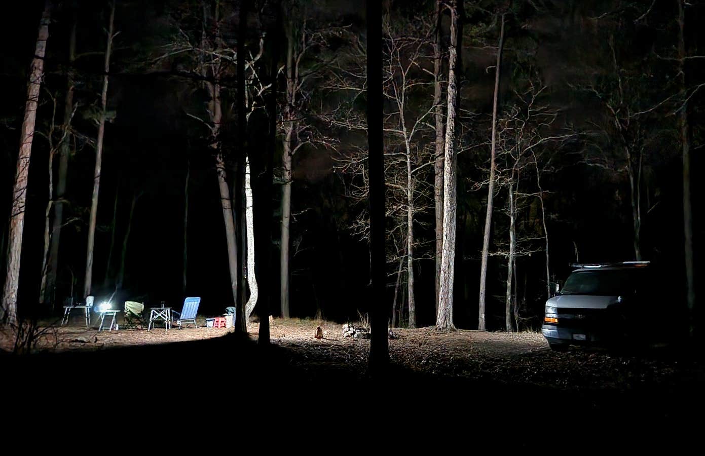 Camper submitted image from Ouachitas FR179 Dispersed Site - 2