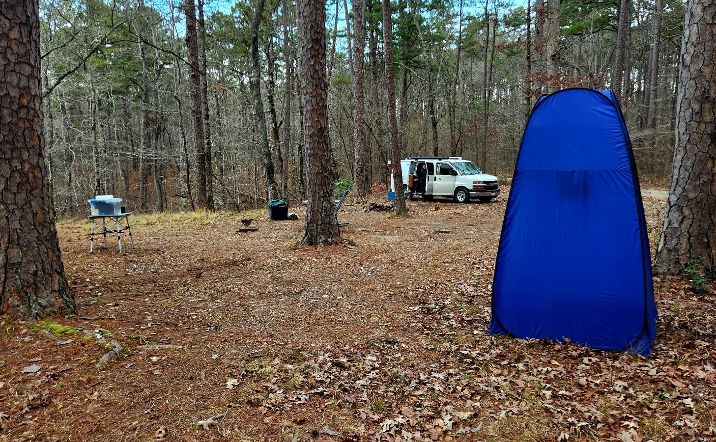 Fred S.'s photo of a dispersed camping area at Ouachitas FR179 Dispersed Site near Royal, AR
