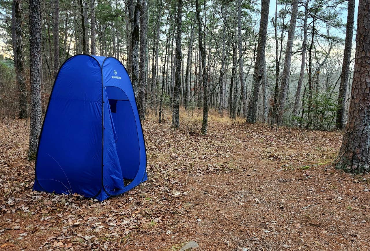 Camper submitted image from Ouachitas FR179 Dispersed Site - 4