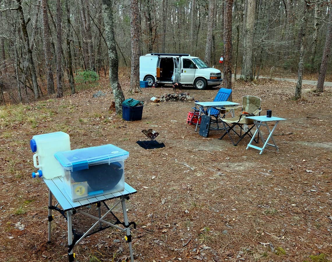 Camper submitted image from Ouachitas FR179 Dispersed Site - 5