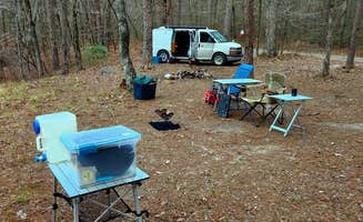 Fred S.'s photo at Ouachitas FR179 Dispersed Site near Mabelvale, AR