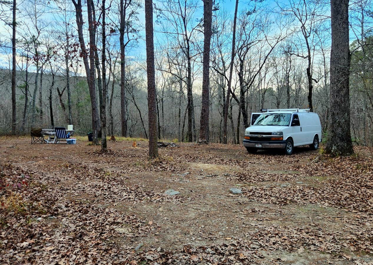 Camper submitted image from Ouachitas FR179 Dispersed Site - 3