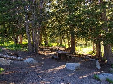 Camper submitted image from Albion Basin - 4