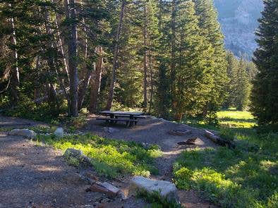 Camper submitted image from Albion Basin - 5