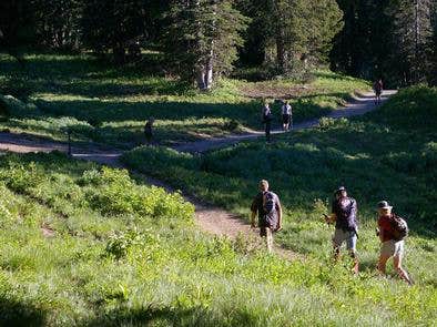 Camper submitted image from Albion Basin - 5