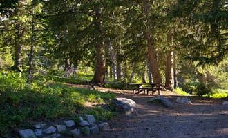 Camping near Red Pine Lake: Albion Basin, Alta, Utah
